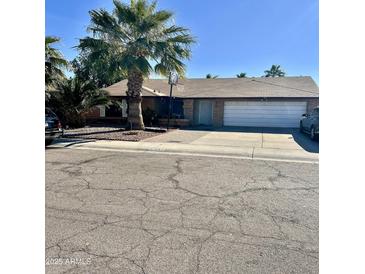 Single story home with a two-car garage and a palm tree in the front yard at 143 W Michelle Dr, Phoenix, AZ 85023