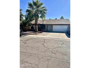 Single-story house with a two-car garage and palm trees in the front yard at 143 W Michelle Dr, Phoenix, AZ 85023