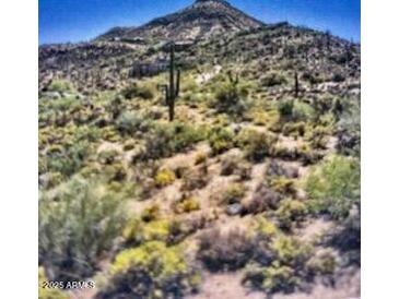 Aerial view of a desert lot with mountain backdrop at 39838 N 98Th Way, Scottsdale, AZ 85262