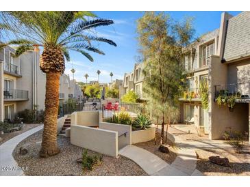 Inviting community courtyard with palm trees, seating, and a grilling area at 1006 E Osborn Rd # C, Phoenix, AZ 85014