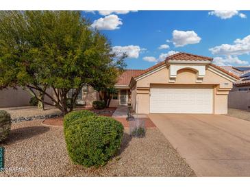 Single-story home with a two-car garage and landscaped front yard at 20426 N 133Rd Dr, Sun City West, AZ 85375