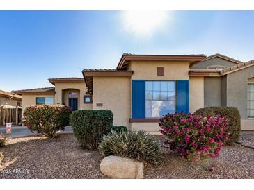 One-story house with blue shutters and well-manicured landscaping at 8805 W Windrose Dr, Peoria, AZ 85381