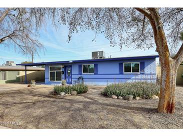 Single-story home featuring a blue facade, desert landscaping with rocks and drought tolerant bushes at 1905 W 2Nd St, Mesa, AZ 85201