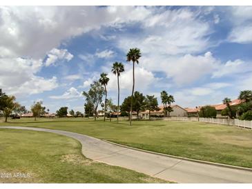 Scenic golf course view with lush green grass and palm trees under a partly cloudy sky at 25432 S Queen Palm Dr, Sun Lakes, AZ 85248