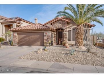 Single-story home with stone accents, desert landscaping, and a two-car garage at 16005 S 10Th Pl, Phoenix, AZ 85048