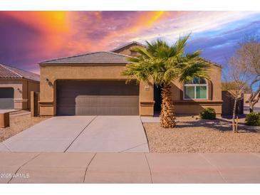 Tan house with a brown garage door and palm tree in the front yard at 41838 W Chatham Pl, Maricopa, AZ 85138