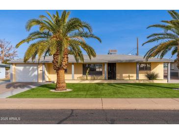 Ranch style home with a well-manicured lawn and mature palm trees at 5452 E University Dr, Mesa, AZ 85205