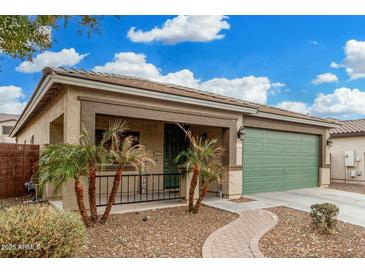 One-story home with green garage door and landscaped front yard at 163 W Dragon Tree Ave, Queen Creek, AZ 85140