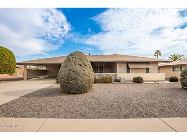 Ranch style home with carport and well-manicured landscaping at 10210 W Charter Oak Dr, Sun City, AZ 85351