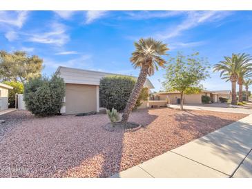 Single-story home with desert landscaping and a large palm tree in the front yard at 15825 N 110Th Ave, Sun City, AZ 85351
