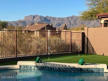 Backyard pool featuring mountain views, desert landscaping, and two cute decorative frog statues at 9900 E Desert Trail Ln, Gold Canyon, AZ 85118