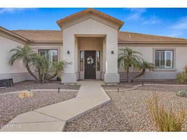 Inviting front entrance with a walkway and mature palm trees at 1040 N 113Th Pl, Mesa, AZ 85207