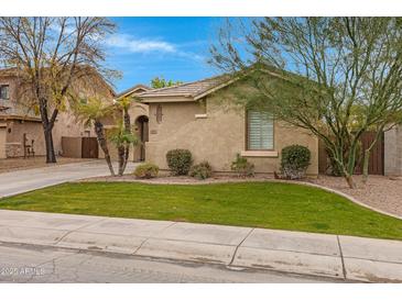 Single-story home with landscaped yard and driveway at 141 W Roadrunner Dr, Chandler, AZ 85286