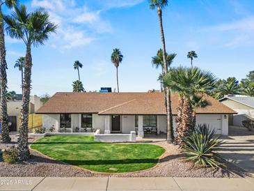 Single-story home with a well-manicured lawn and mature palm trees at 4501 E Paradise Ln, Phoenix, AZ 85032