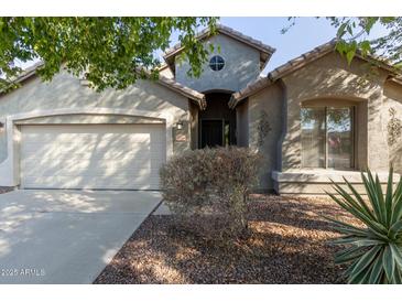 One-story house with neutral color exterior, two-car garage, and landscaping at 88 E Macaw Ct, San Tan Valley, AZ 85143