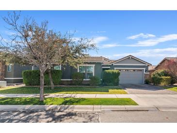 Single-story home with gray exterior, two-car garage, and well-manicured lawn at 2683 E Indigo Pl, Chandler, AZ 85286