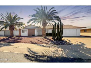 Charming home with low maintenance front yard landscaping and mature palm trees at 13239 W Ashwood Dr, Sun City West, AZ 85375