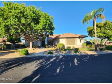 Single-story home with landscaped yard and two-car garage at 17790 N 66Th Ln, Glendale, AZ 85308