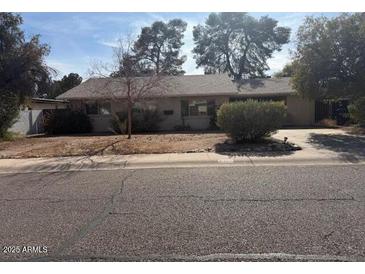 Ranch-style home with mature landscaping and a spacious front yard at 3021 E Windrose Dr, Phoenix, AZ 85032