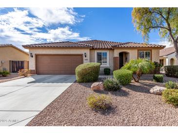 Charming single-story home featuring a well-manicured desert landscape and a brown tiled roof at 1081 W Brangus Way, San Tan Valley, AZ 85143