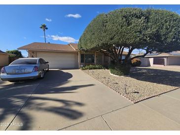 Ranch-style home with a large tree, driveway, and landscaped yard at 12226 N Lakeforest Dr, Sun City, AZ 85351