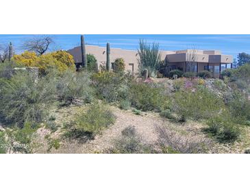 Desert landscape surrounds this single-story home with stucco exterior and covered patio at 55823 N 329Th Dr, Wickenburg, AZ 85390