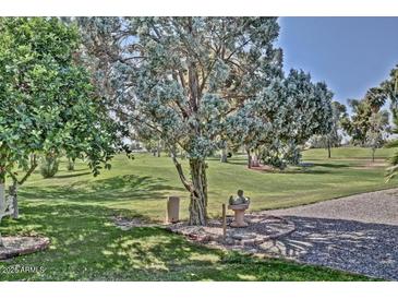 Spacious backyard with golf course views and mature trees at 9890 N Balboa Dr, Sun City, AZ 85351