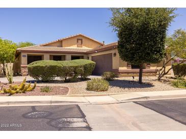 Single-story home with landscaped front yard and two-car garage at 14960 W Cottonwood St, Surprise, AZ 85374