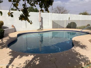 Private backyard swimming pool with views of a stucco fence with tree branches at 3554 E Camino Cir, Mesa, AZ 85213