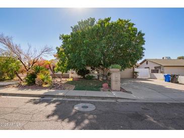 House exterior featuring a large tree, landscaped yard, and driveway at 8501 W Glenrosa Ave, Phoenix, AZ 85037