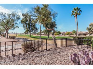 View of the beautiful golf course from the patio with desert landscaping, and palm trees at 10139 E Copper Dr, Sun Lakes, AZ 85248