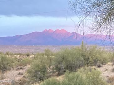 Scenic mountain view with desert vegetation in the foreground at 10401 N Saguaro Blvd # 118, Fountain Hills, AZ 85268