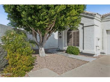 Close up of front yard with mature tree and bushes at 320 S 70Th St # 54, Mesa, AZ 85208