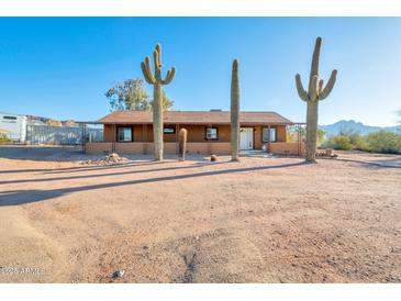 Charming home with desert landscaping including large saguaro cacti and dirt front yard at 4253 N Plaza Dr, Apache Junction, AZ 85120