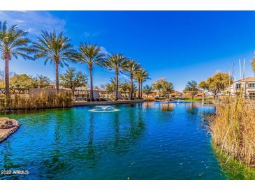 Beautiful community pond with palm trees and fountain feature reflecting on the water in the sunlight at 1664 E Bridgeport Pkwy, Gilbert, AZ 85295