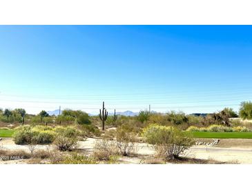 Expansive desert landscape with native plants under a clear blue sky, showcasing the natural beauty of the area at 19460 N 84Th St, Scottsdale, AZ 85255