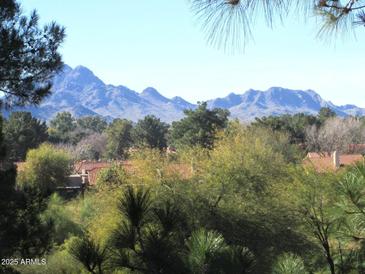 A picturesque mountain view is framed by lush greenery and desert vegetation at 4303 E Cactus Rd # 331, Phoenix, AZ 85032