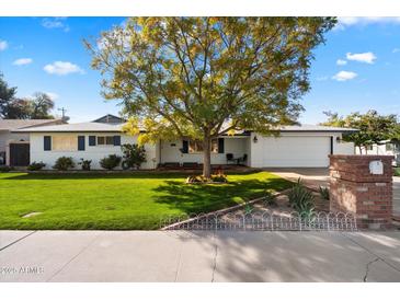 Charming single-story home featuring a lush green lawn, mature tree, and well-manicured landscaping at 623 E Winter Drive Dr, Phoenix, AZ 85020