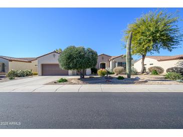 Charming home with desert landscaping, mature trees, and a well-maintained lawn at 16935 W Desert Blossom Way, Surprise, AZ 85387