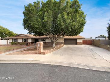 Charming single-story home featuring a large tree, a brick mailbox, and a spacious driveway at 1329 N 25Th St, Mesa, AZ 85213