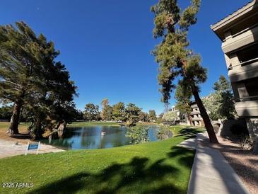 Scenic community water view with mature trees and a lush green lawn at 5124 N 31St Pl # 542, Phoenix, AZ 85016