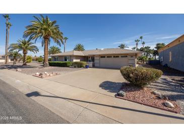 Charming home boasts a well-maintained front yard with mature palm trees and a two-car garage at 9309 W Briarwood Cir, Sun City, AZ 85351