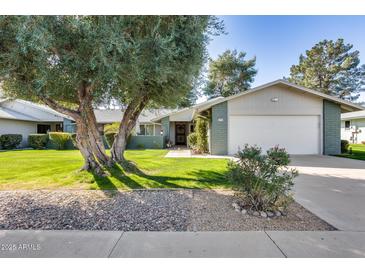 Charming single-story home with lush lawn, mature trees, and a well-maintained front yard at 12515 W Prospect Dr, Sun City West, AZ 85375