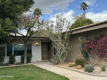 Charming home featuring desert landscaping with cacti and bougainvillea, enhancing its curb appeal at 4800 N 68Th St # 175, Scottsdale, AZ 85251