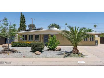 Charming single-story home with desert landscaping, a mature palm tree, and a freshly painted facade at 3802 E Shaw Butte Dr, Phoenix, AZ 85028