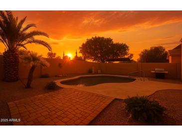 Backyard pool with stunning sunset views, featuring a brick patio and mature palm trees for privacy and relaxation at 41201 N Stenson Dr, San Tan Valley, AZ 85140