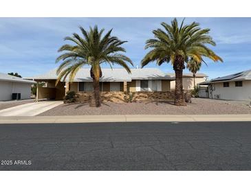 Charming single-story home with desert landscaping and two mature palm trees in the front yard at 11189 W Cameo Dr, Sun City, AZ 85351