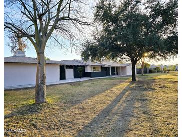 Beautiful front yard with mature trees providing shade and modern curb appeal at 2425 E Harvard St, Phoenix, AZ 85008