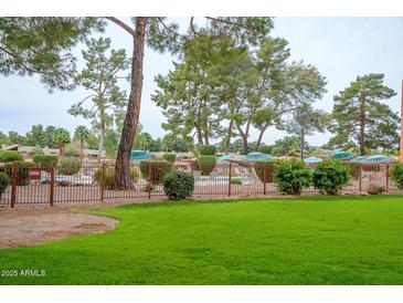 Enjoy community living with this refreshing pool area with mature landscaping, perfect for relaxation and recreation at 12212 N Paradise Village S Pkwy # 146, Phoenix, AZ 85032