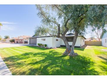 Charming single-story home with a well-manicured lawn and mature shade tree at 837 E Divot Dr, Tempe, AZ 85283